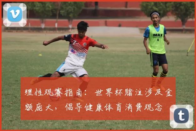理性观赛指南：世界杯赌注涉及金额庞大，倡导健康体育消费观念