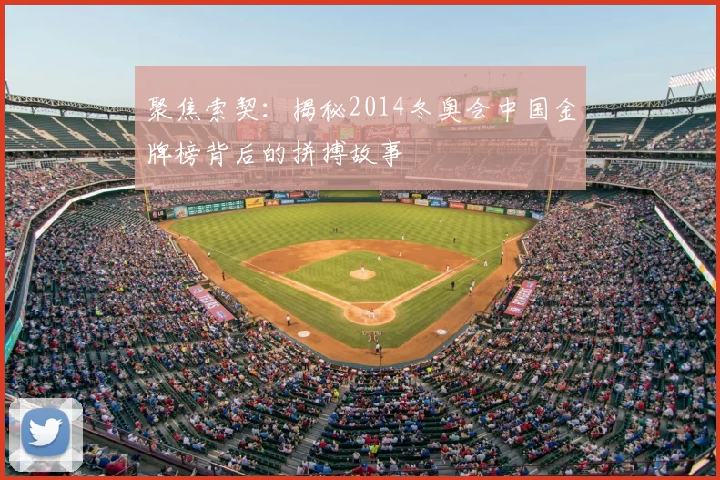 聚焦索契：揭秘2014冬奥会中国金牌榜背后的拼搏故事