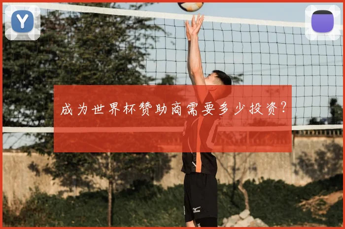 成为世界杯赞助商需要多少投资？