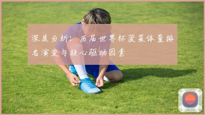 深度分析：历届世界杯菠菜体量排名演变与核心驱动因素