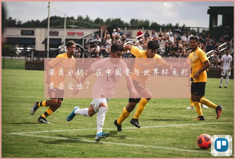 深度分析：在中国参与世界杯竞彩是否合法？