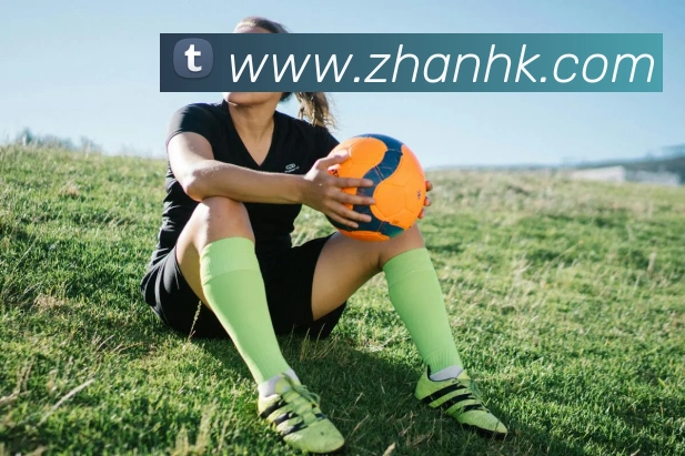 开云app官方版在线入口APP 封面图